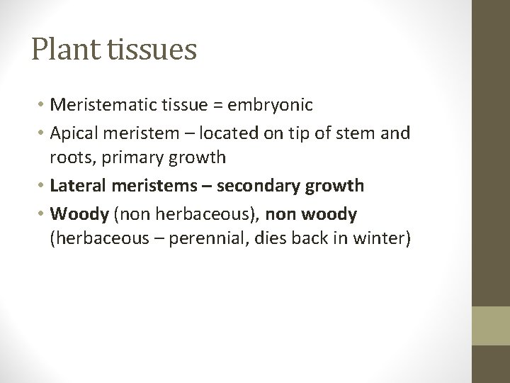 Plant tissues • Meristematic tissue = embryonic • Apical meristem – located on tip