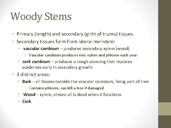 Woody Stems • Primary (length) and secondary (girth of trunks) tissues • Secondary tissues