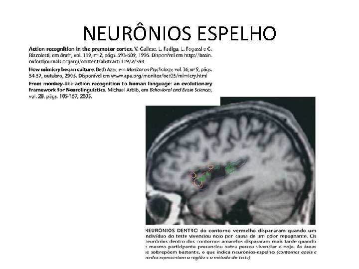 NEURÔNIOS ESPELHO 