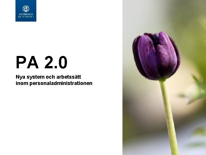  PA 2. 0 Nya system och arbetssätt inom personaladministrationen 