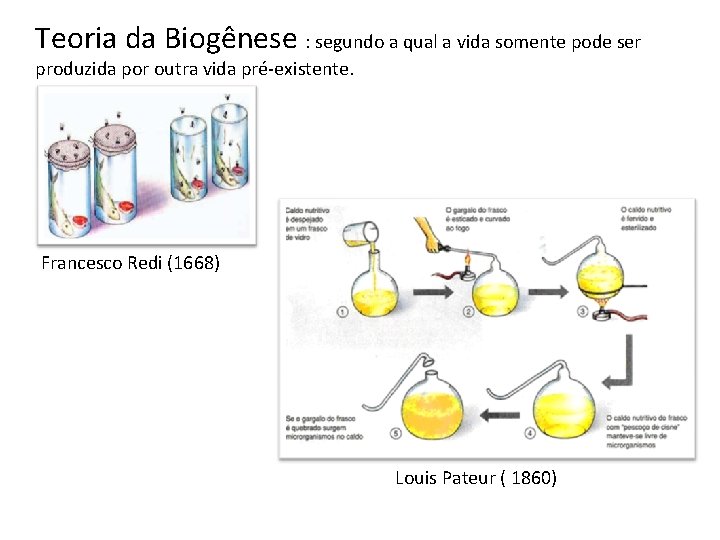 Teoria da Biogênese : segundo a qual a vida somente pode ser produzida por Teoria da Biogênese : segundo a qual a vida somente pode ser produzida por