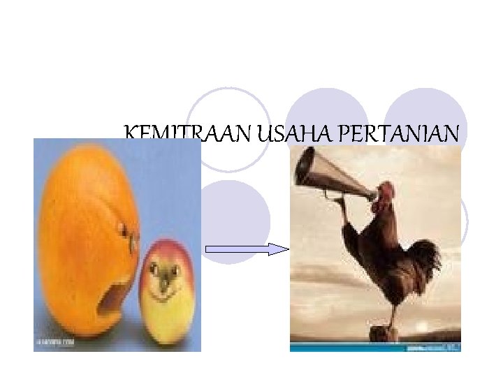 KEMITRAAN USAHA PERTANIAN 