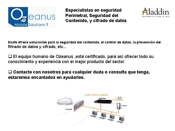 Especialistas en seguridad Perimetral, Seguridad del Contenido, y cifrado de datos Esafe ofrece soluciones