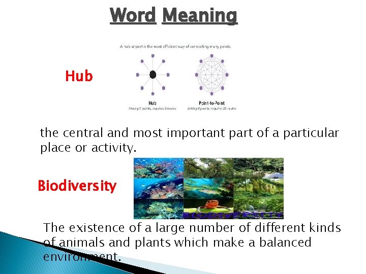 Word Meaning Hub the central and most important part of a particular place or