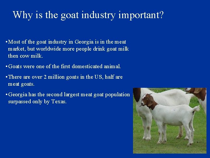 Why is the goat industry important? • Most of the goat industry in Georgia
