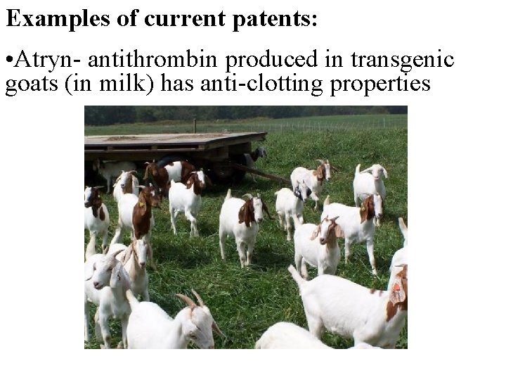 Examples of current patents: • Atryn- antithrombin produced in transgenic goats (in milk) has