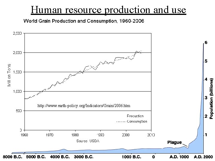 Human resource production and use http: //www. earth-policy. org/Indicators/Grain/2006. htm 