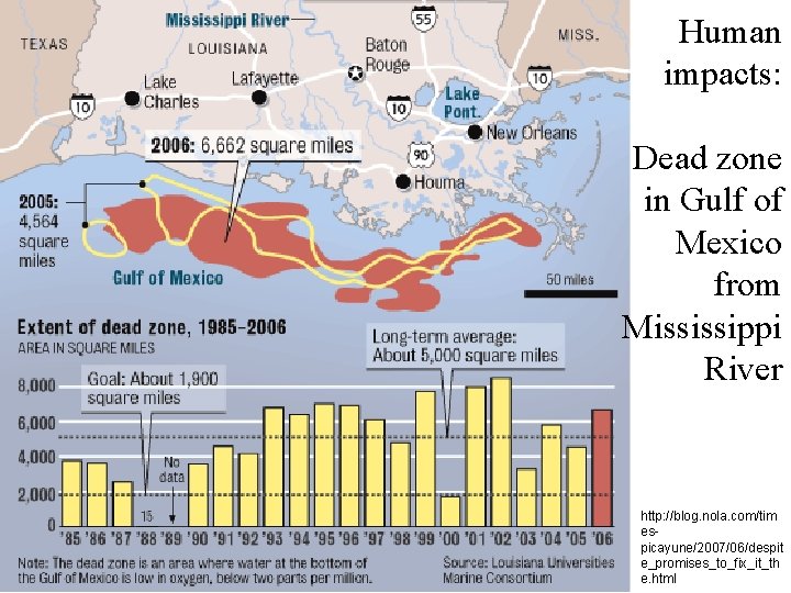 Human impacts: Dead zone in Gulf of Mexico from Mississippi River http: //blog. nola.