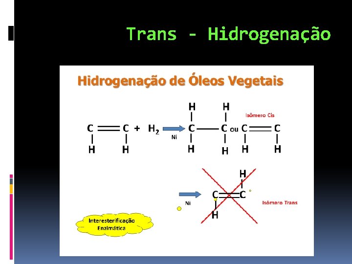 Trans - Hidrogenação 