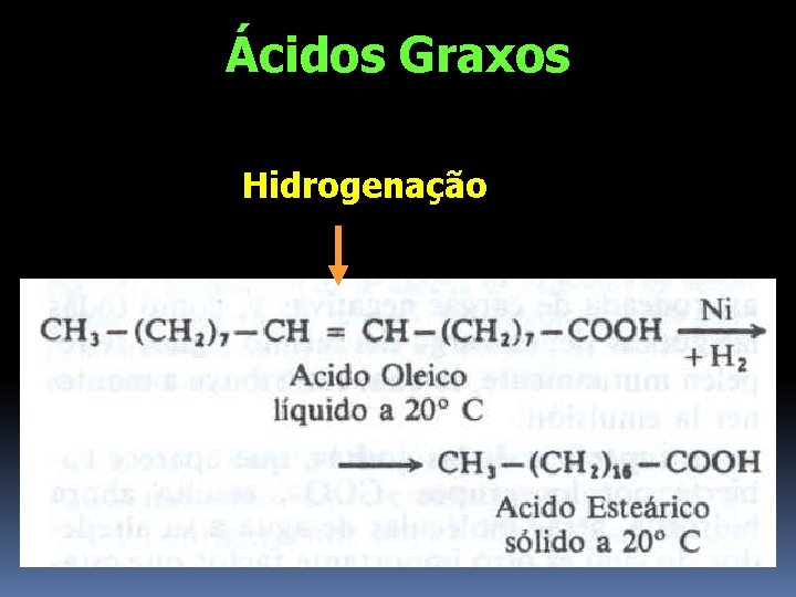 Ácidos Graxos Hidrogenação 