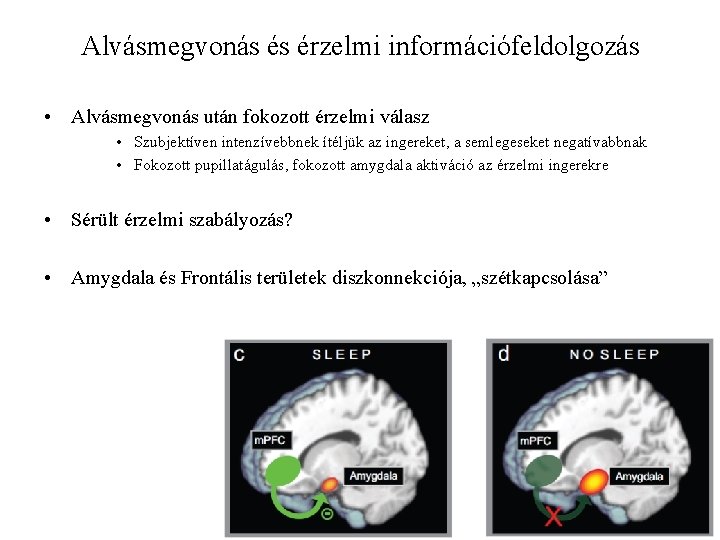 Alvásmegvonás és érzelmi információfeldolgozás • Alvásmegvonás után fokozott érzelmi válasz • Szubjektíven intenzívebbnek ítéljük