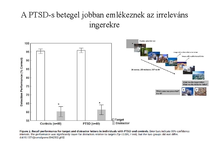 A PTSD-s betegel jobban emlékeznek az irreleváns ingerekre 