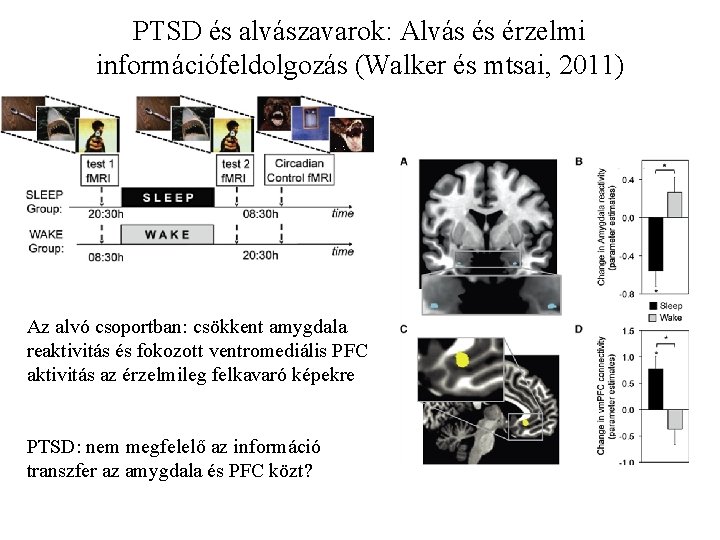 PTSD és alvászavarok: Alvás és érzelmi információfeldolgozás (Walker és mtsai, 2011) Az alvó csoportban: