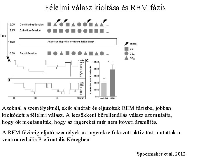 Félelmi válasz kioltása és REM fázis Azoknál a személyeknél, akik aludtak és eljutottak REM