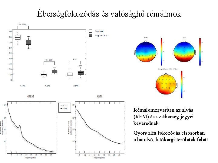 Éberségfokozódás és valósághű rémálmok Rémálomzavarban az alvás (REM) és az éberség jegyei keverednek Gyors