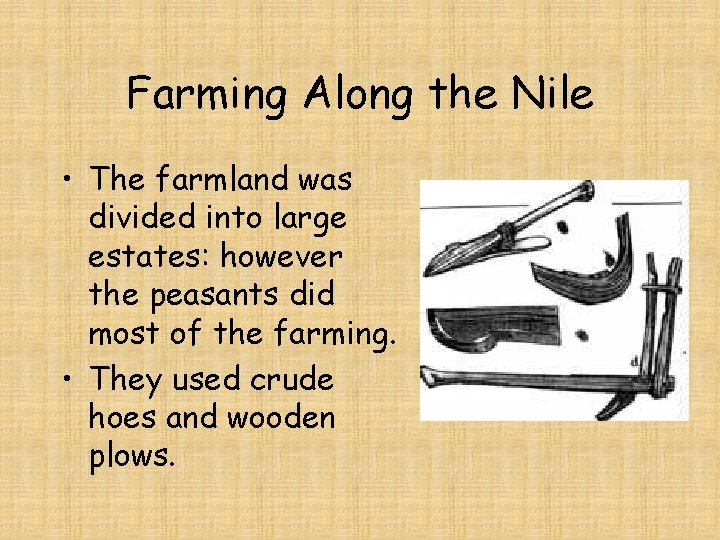 Farming Along the Nile • The farmland was divided into large estates: however the