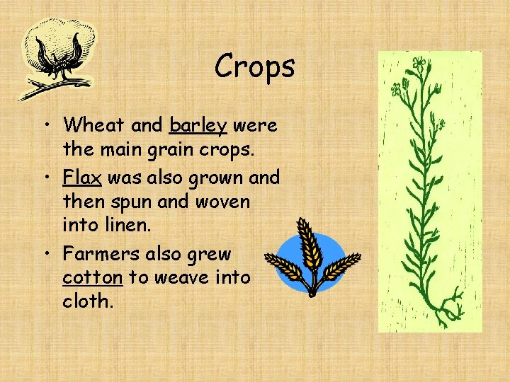 Crops • Wheat and barley were the main grain crops. • Flax was also