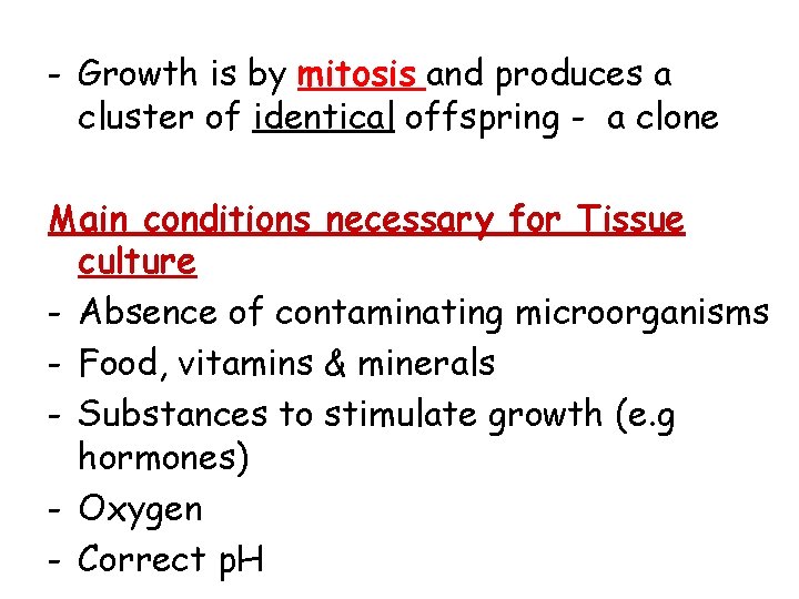 - Growth is by mitosis and produces a cluster of identical offspring - a