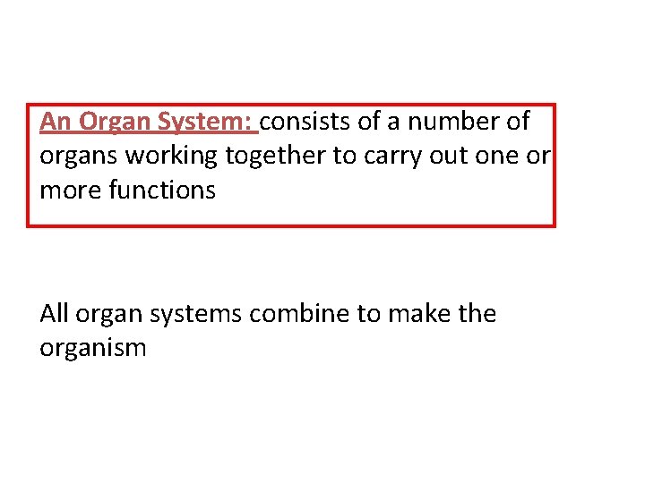 An Organ System: consists of a number of organs working together to carry out