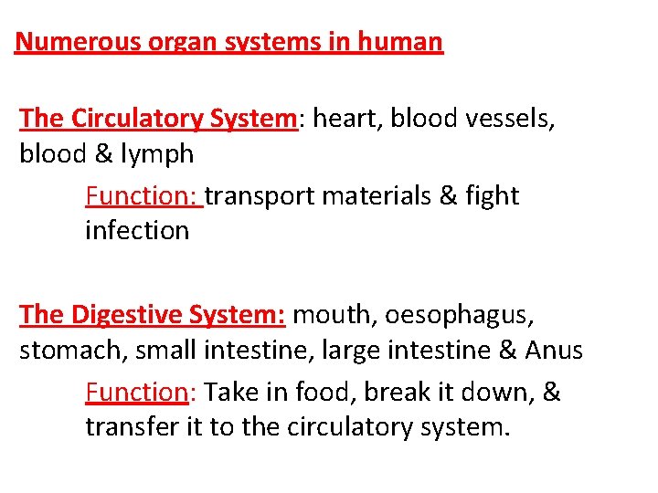 Numerous organ systems in human The Circulatory System: heart, blood vessels, blood & lymph