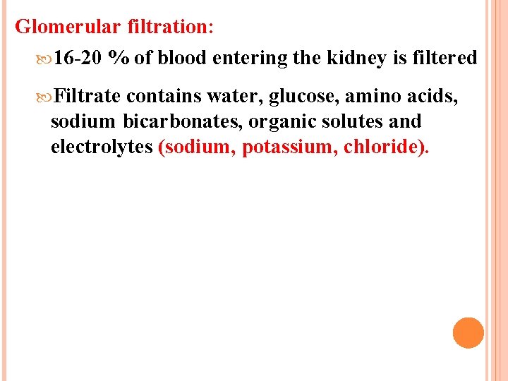 Glomerular filtration: 16 -20 % of blood entering the kidney is filtered Filtrate contains