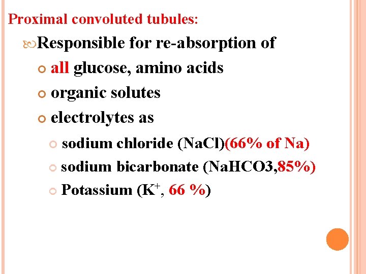 Proximal convoluted tubules: Responsible for re-absorption of all glucose, amino acids organic solutes electrolytes