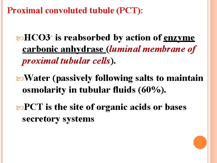 Proximal convoluted tubule (PCT): HCO 3 - is reabsorbed by action of enzyme carbonic