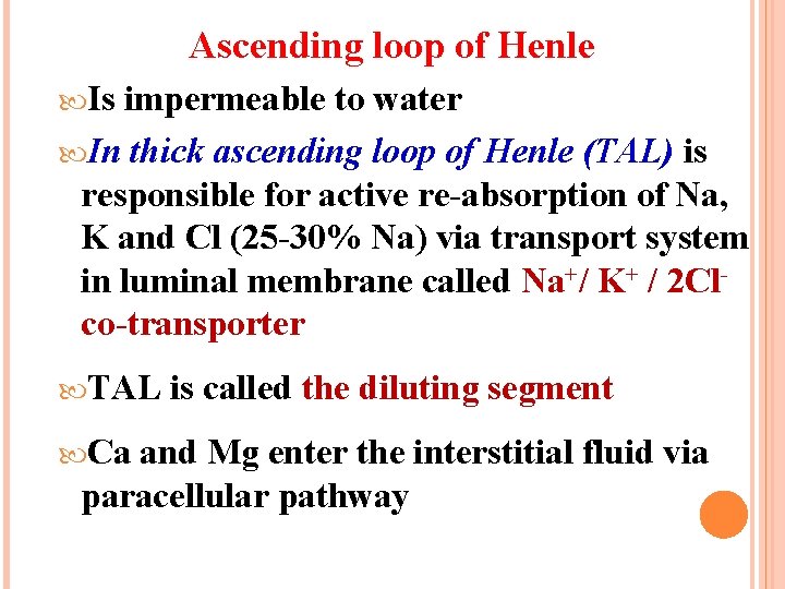 Ascending loop of Henle Is impermeable to water In thick ascending loop of Henle