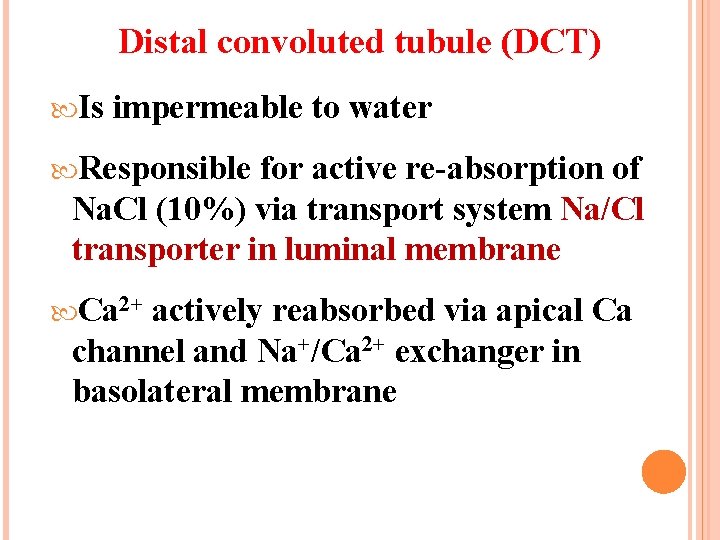 Distal convoluted tubule (DCT) Is impermeable to water Responsible for active re-absorption of Na.