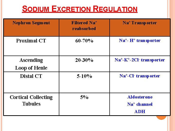 SODIUM EXCRETION REGULATION Nephron Segment Filtered Na+ reabsorbed Na+ Transporter Proximal CT 60 -70%