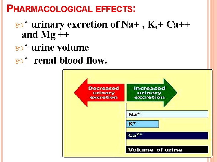 PHARMACOLOGICAL EFFECTS: ↑ urinary excretion of Na+ , K, + Ca++ and Mg ++