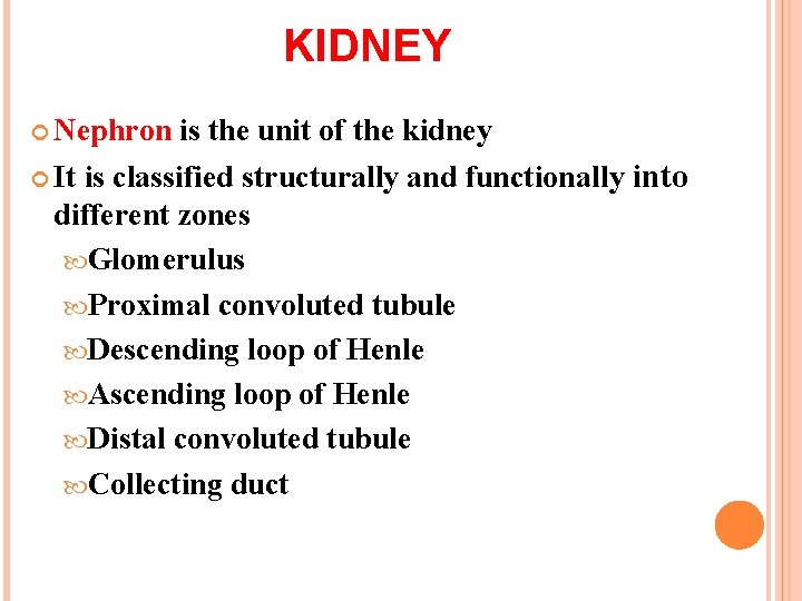 KIDNEY Nephron is the unit of the kidney It is classified structurally and functionally