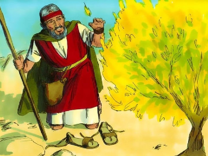 PARASHA BERESHIT TOLEDOT 