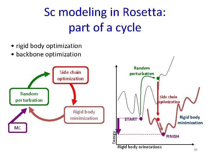 Sc modeling in Rosetta: part of a cycle • rigid body optimization • backbone