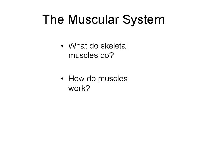 The Muscular System • What do skeletal muscles do? • How do muscles work?