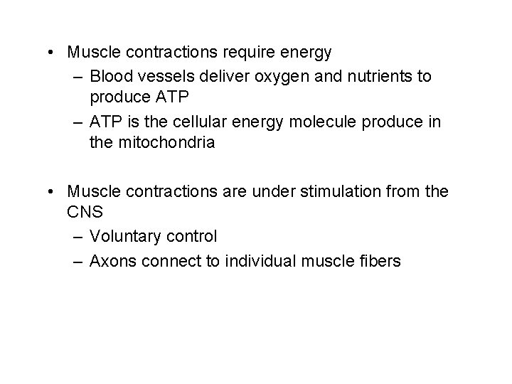  • Muscle contractions require energy – Blood vessels deliver oxygen and nutrients to