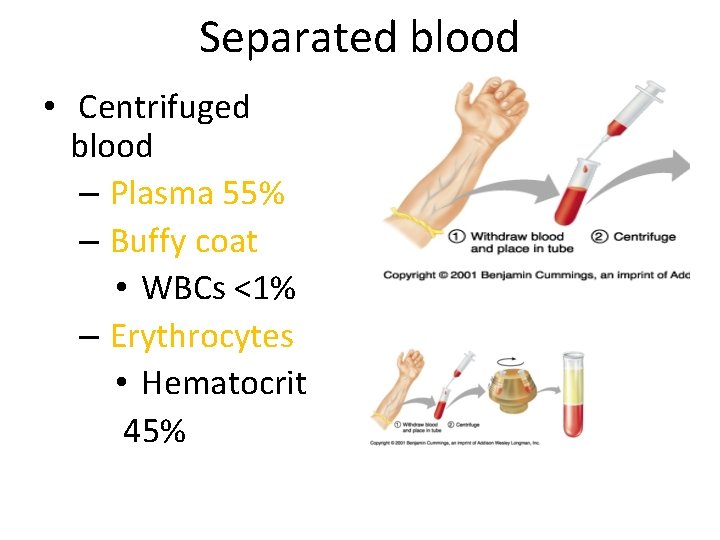Separated blood • Centrifuged blood – Plasma 55% – Buffy coat • WBCs <1%