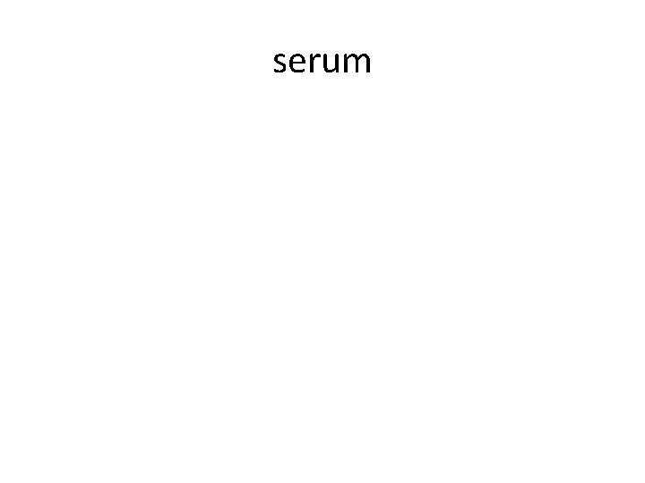 serum 