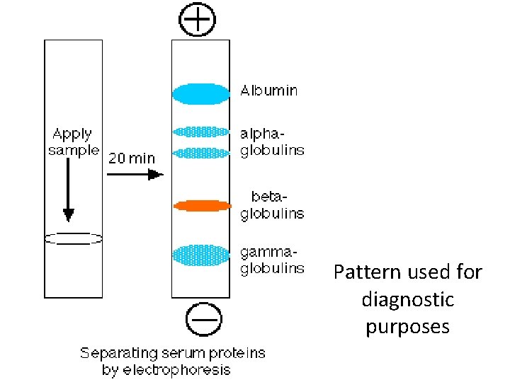 Pattern used for diagnostic purposes 