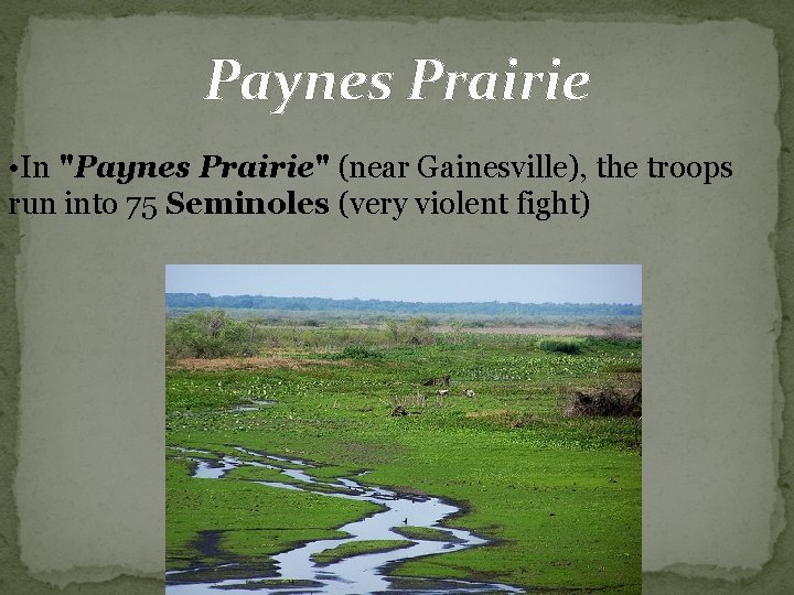 Paynes Prairie • In "Paynes Prairie" (near Gainesville), the troops run into 75 Seminoles Paynes Prairie • In "Paynes Prairie" (near Gainesville), the troops run into 75 Seminoles