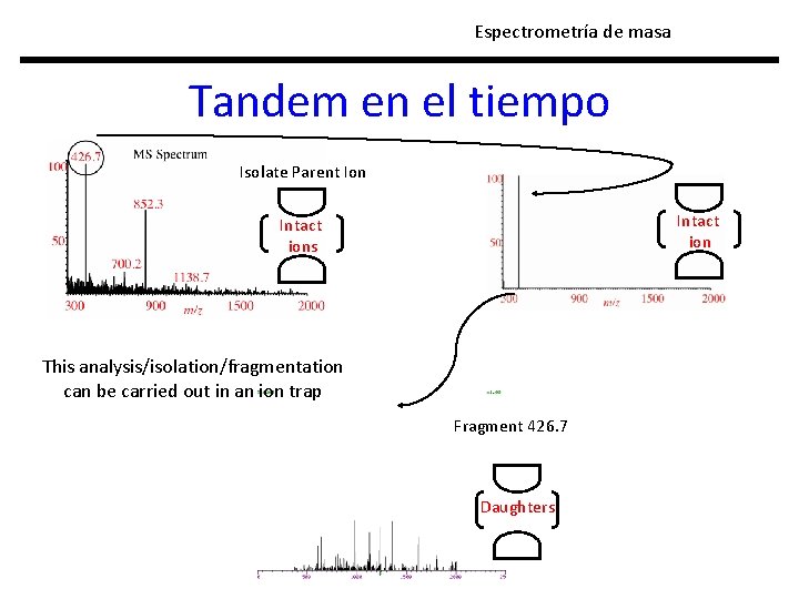 Espectrometría de masa Tandem en el tiempo Isolate Parent Ion Intact ions This analysis/isolation/fragmentation