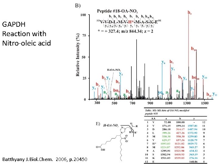 GAPDH Reaction with Nitro-oleic acid Batthyany J. Biol. Chem. 2006, p. 20450 