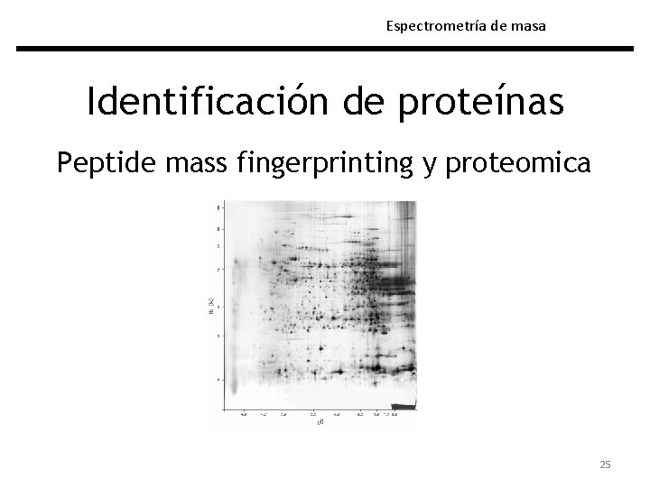 Espectrometría de masa Identificación de proteínas Peptide mass fingerprinting y proteomica 25 