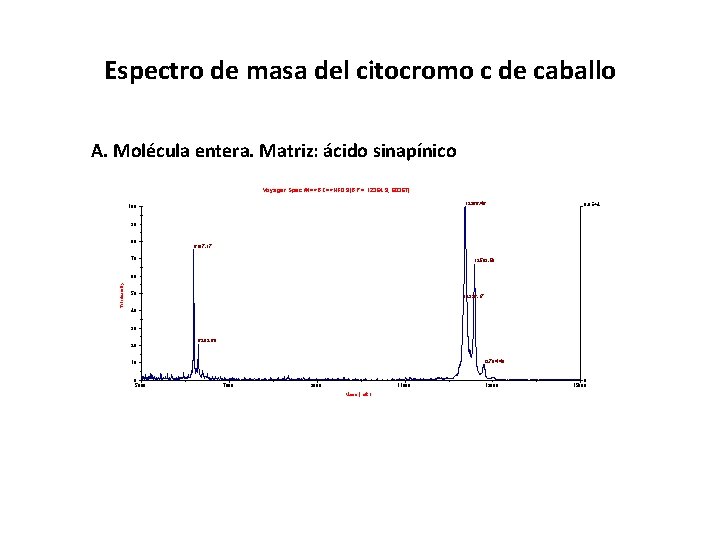 Espectro de masa del citocromo c de caballo A. Molécula entera. Matriz: ácido sinapínico