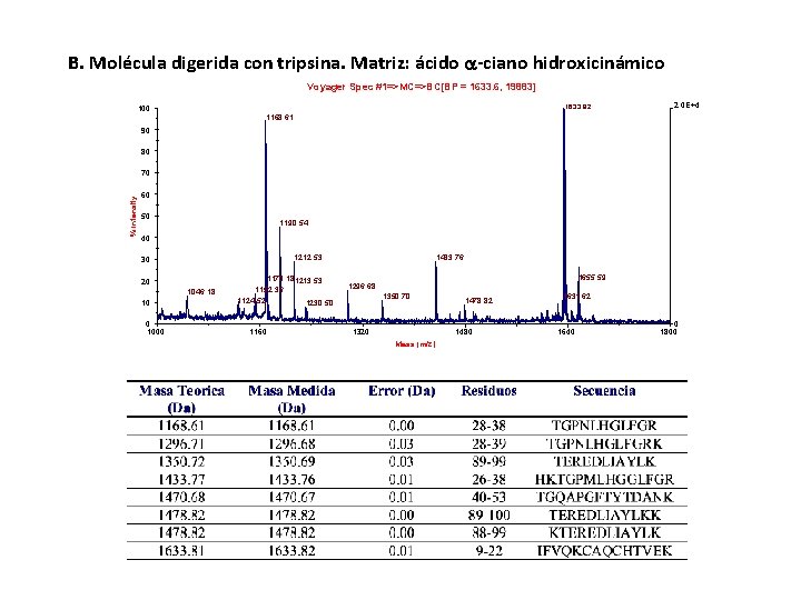 B. Molécula digerida con tripsina. Matriz: ácido -ciano hidroxicinámico Voyager Spec #1=>MC=>BC[BP = 1633.