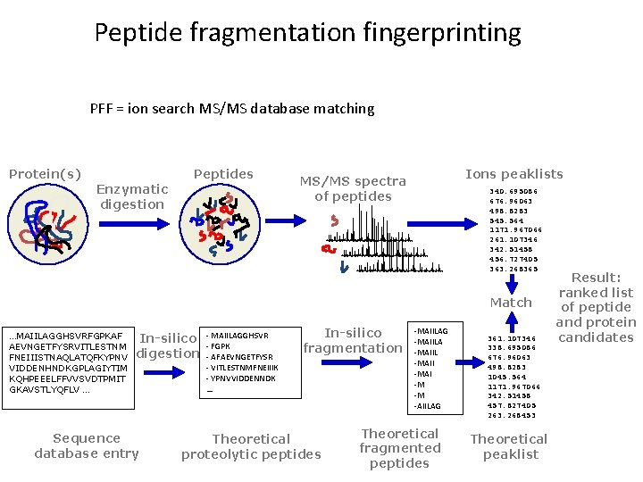 Peptide fragmentation fingerprinting PFF = ion search MS/MS database matching Protein(s) Peptides Enzymatic digestion