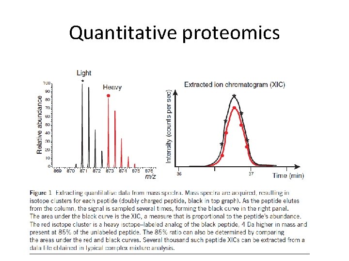 Quantitative proteomics 