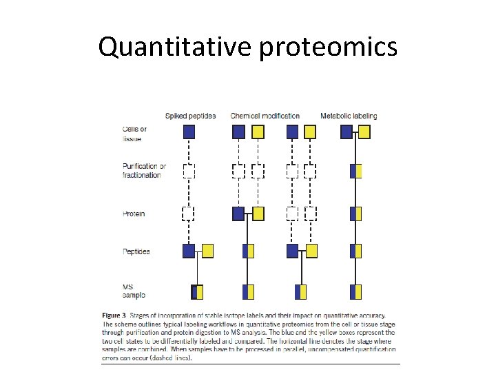 Quantitative proteomics 