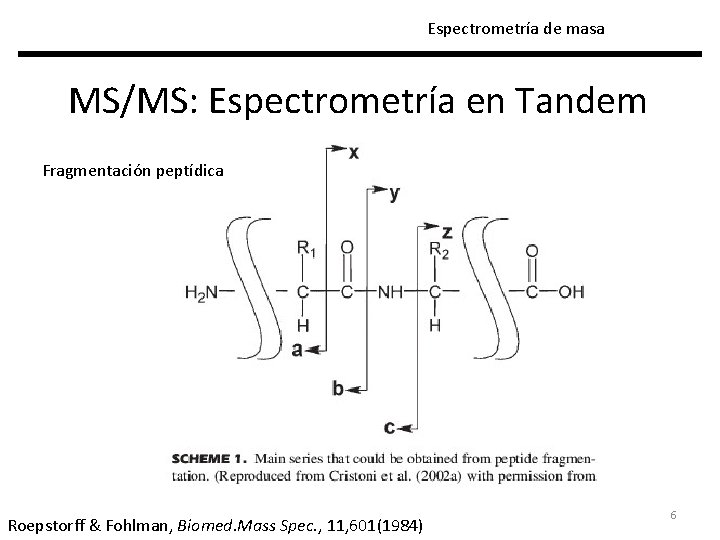 Espectrometría de masa MS/MS: Espectrometría en Tandem Fragmentación peptídica Roepstorff & Fohlman, Biomed. Mass