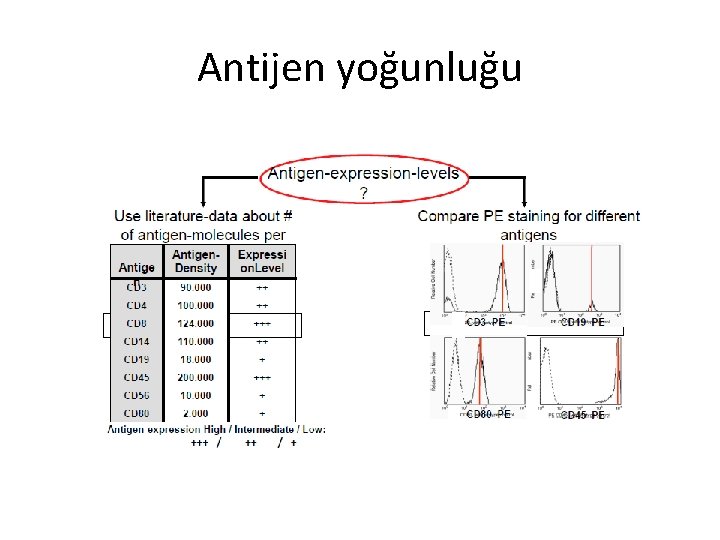 Antijen yoğunluğu 